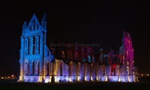 whitby abbey goth festival 1.jpg